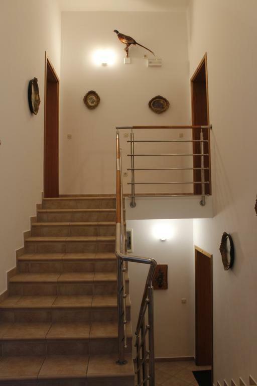 Apartmani Zeljko Metajna Kültér fotó